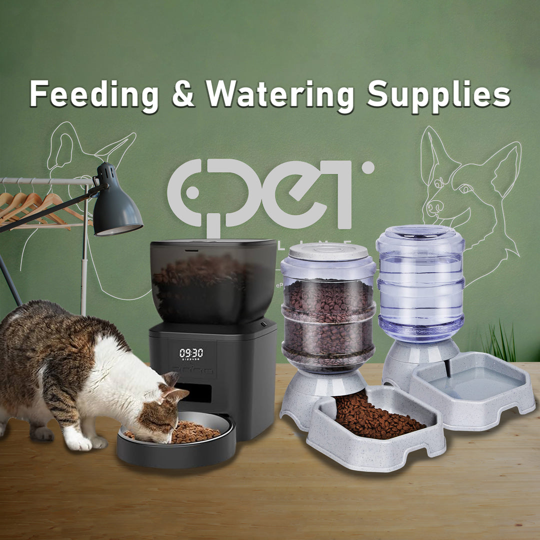 Feeding & Watering Supplies