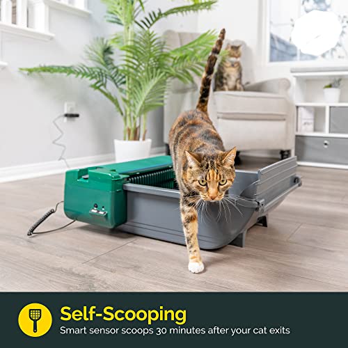Pet Zone Semi Automatic Cat Litter Box Self Cleaning - Smart Scoop Cat Litter Box with Bags & Carbon Filter for Up to Two Cats 6-16 Pounds