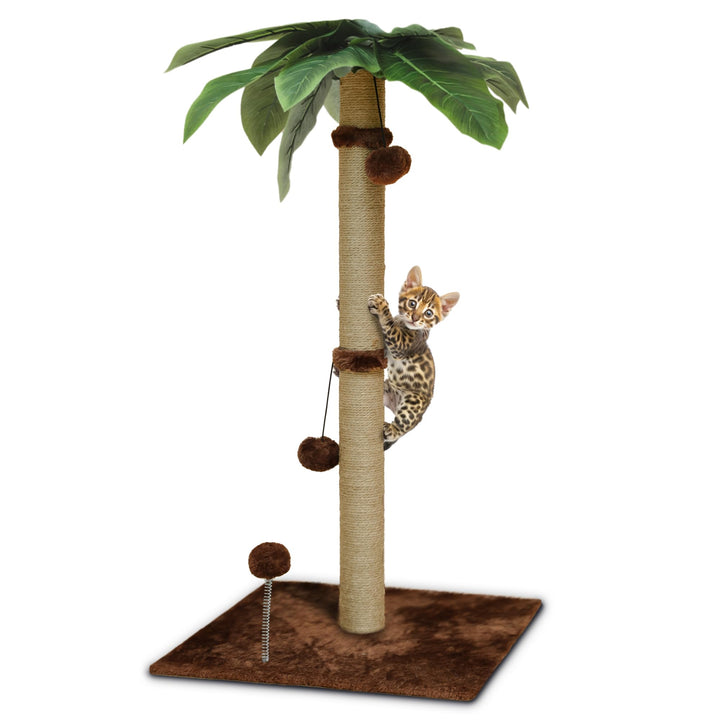 Cat Scratching Post, 34'' Tall Scratching Post for Indoor Cats with Multiple Balls, Cat Tree Sisal Rope Cat Scratch Posts for Large Cats and Kittens, Brown