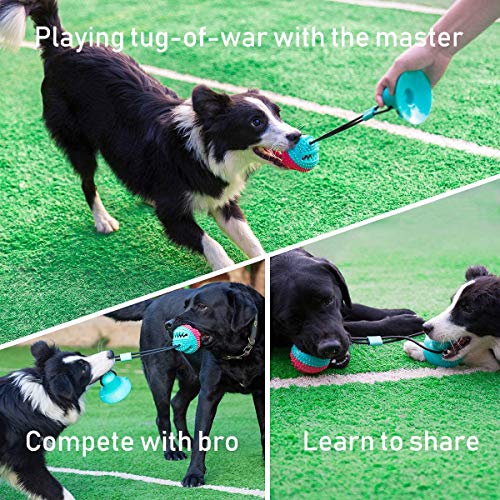 Interactive Dog Toys Tug of War, Mentally Stimulating Toys for Dogs, Puppy Teething Toys for Boredom Busy Self Play, Dog Puzzle Treat Food Dispensing Ball Toy for Small Medium Dogs(Red+Turquoise)