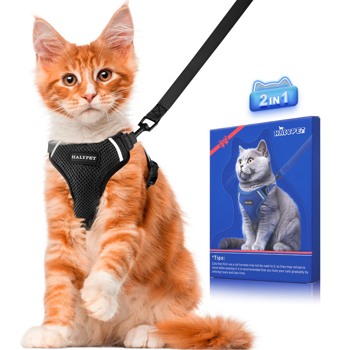 Halypet Cat Harness and Leash Set [ MAX Safety Third Generation ]