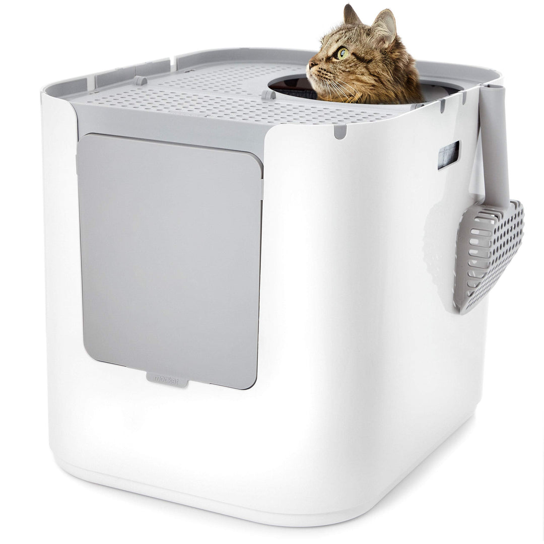 Modkat® XL Litter Box, Top or Front-Entry Configurable, Includes Scoop and Liners - Black