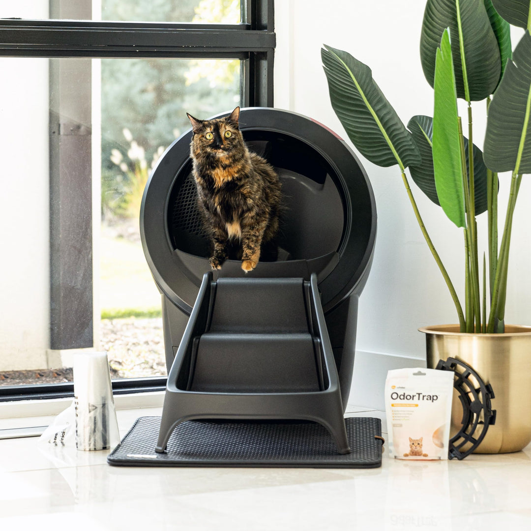 Litter-Robot 4 Bundle by Whisker, Black - Automatic, Self-Cleaning Cat Litter Box, Includes Litter-Robot 4, 6 OdorTrap Pack Refills, 50 Waste Drawer Liners, Ramp, Mat & Fence